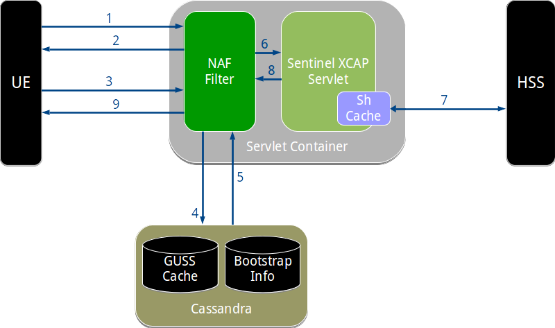 Authentication process with the NAF Authentication Filter