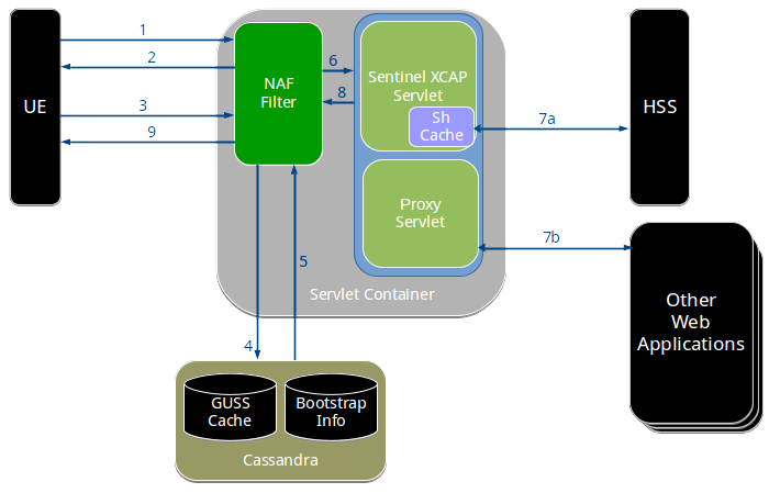 Authentication process with the NAF Authentication Filter