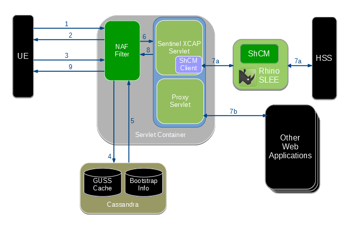 Authentication process with the NAF Authentication Filter