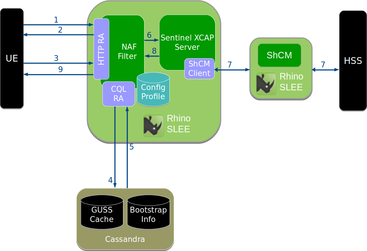 Authentication process with the NAF Authentication Filter