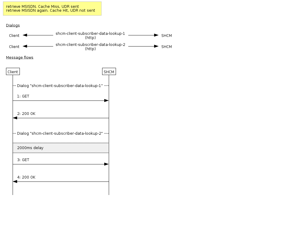 Client HTTP scenario